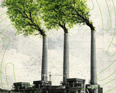 Consultoria Ambiental