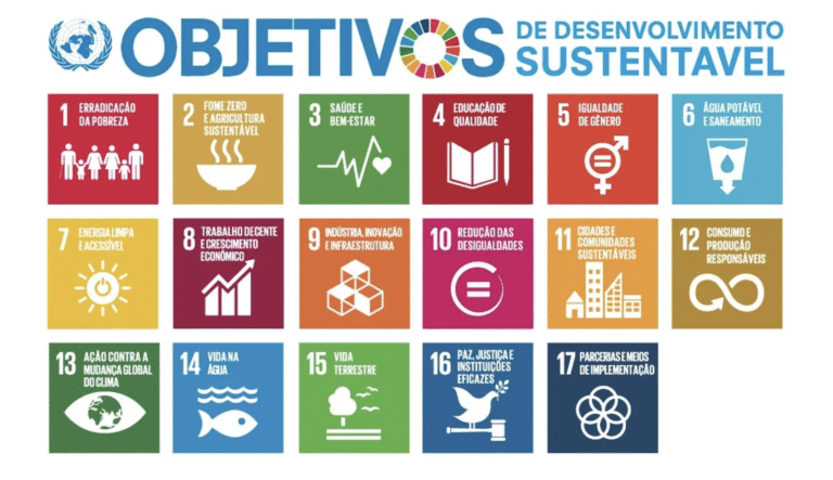 COP-30 em Belém e os impactos para o clima e para o Brasil