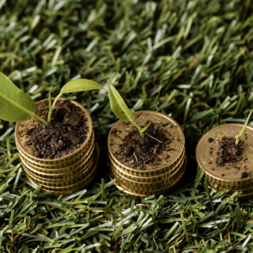 Como a economia verde está redesenhando o futuro do planeta?