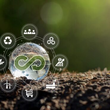 Economia Circular: O que é, como funciona e por que sua empresa deve adotar?