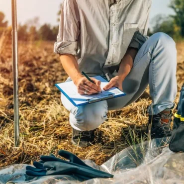 Passivo Ambiental: entenda o risco e saiba como regularizar