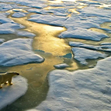 Como as mudanças climáticas estão transformando o planeta
